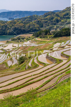 《佐賀県》大浦の棚田・伊万里湾をのぞむ田園風景 131458570