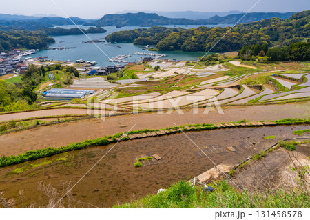 《佐賀県》大浦の棚田・伊万里湾をのぞむ田園風景 131458578