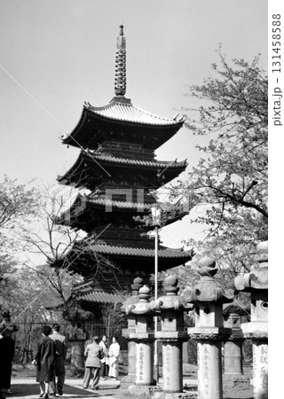 古写真　1962年　東京　上野　寛永寺の五重塔 131458588