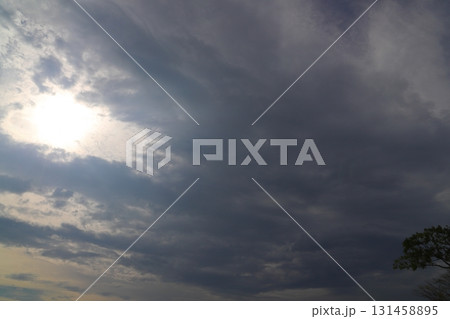 雲の多い空　太陽　樹木 131458895
