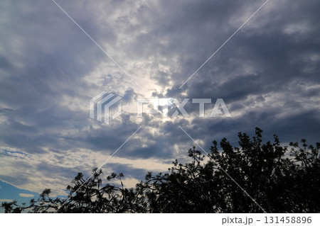 雲の多い空　太陽　樹木 131458896