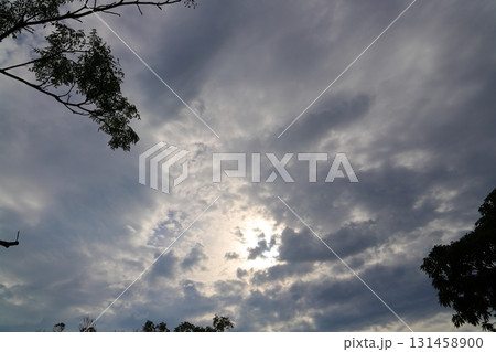 雲の多い空　太陽　樹木 131458900
