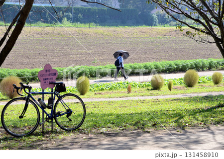 河川敷の公園に停められた自転車と日傘さして歩く人 131458910