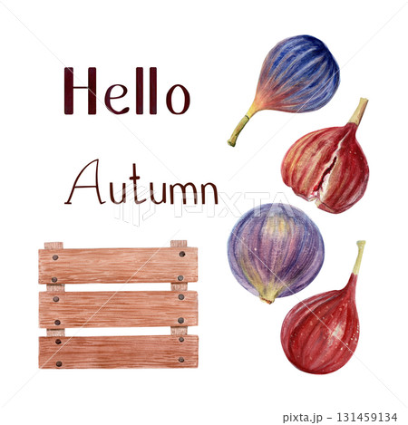 Figs and rustic wooden crate autumn set. Hand-painted Watercolor seasonal illustrations with text Hello Autumn. Perfect for fall invitations, holiday cards, packaging, and cozy kitchen decorations Figs and rustic wooden crate autumn set. Hand-painted Watercolor seasonal illustrations with text Hello Autumn. Perfect for fall invitations, holiday cards, packaging, and cozy kitchen decorations 131459134