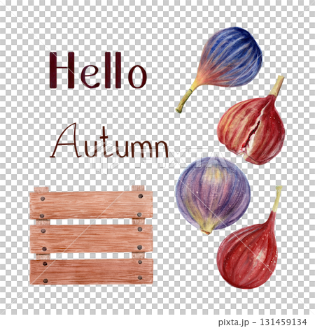 Figs and rustic wooden crate autumn set. Hand-painted Watercolor seasonal illustrations with text Hello Autumn. Perfect for fall invitations, holiday cards, packaging, and cozy kitchen decorations Figs and rustic wooden crate autumn set. Hand-painted Watercolor seasonal illustrations with text Hello Autumn. Perfect for fall invitations, holiday cards, packaging, and cozy kitchen decorations 131459134