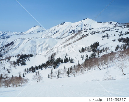 雪の火打山と焼山 雪の火打山と焼山 131459257