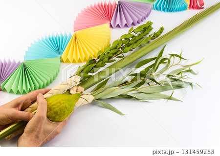 Jewish festival of Sukkot. Traditional symbols Etrog and Lulav in hands Jewish festival of Sukkot. Traditional symbols Etrog and Lulav in hands 131459288