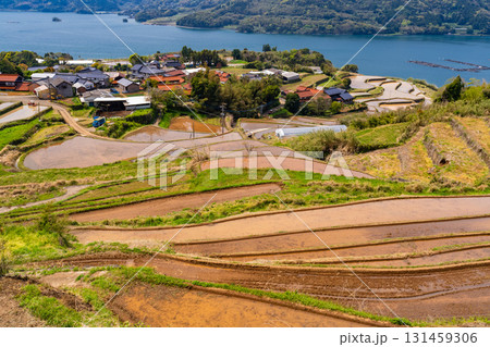 《佐賀県》瓜ケ坂の棚田・伊万里湾をのぞむ田園風景 《佐賀県》瓜ケ坂の棚田・伊万里湾をのぞむ田園風景 131459306