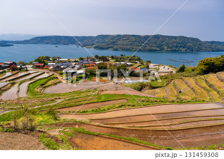 《佐賀県》瓜ケ坂の棚田・伊万里湾をのぞむ田園風景 131459308