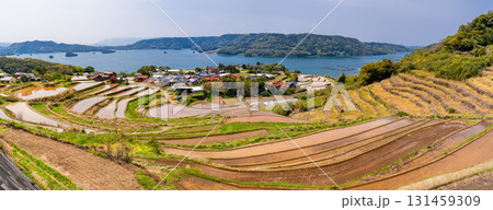 《佐賀県》瓜ケ坂の棚田・伊万里湾をのぞむ田園風景 131459309