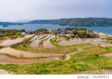 《佐賀県》瓜ケ坂の棚田・伊万里湾をのぞむ田園風景 131459311