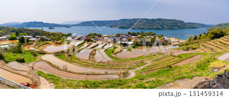 《佐賀県》瓜ケ坂の棚田・伊万里湾をのぞむ田園風景 131459314