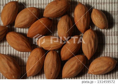 カヤの実 131459572