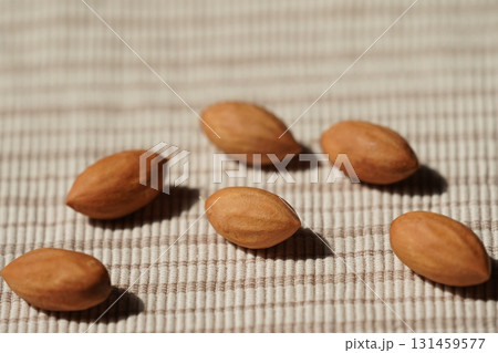 カヤの実 カヤの実 131459577