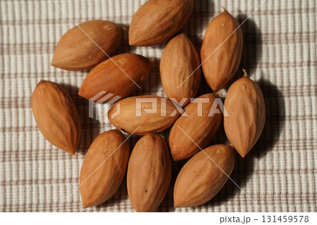 カヤの実 131459578