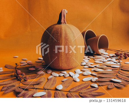 Pumpkin with seeds on orange background for autumn harvest concept 131459618