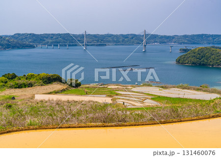 《佐賀県》犬頭の棚田・伊万里湾をのぞむ田園風景 131460076
