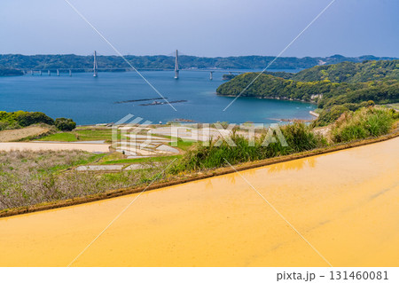 《佐賀県》犬頭の棚田・伊万里湾をのぞむ田園風景 《佐賀県》犬頭の棚田・伊万里湾をのぞむ田園風景 131460081