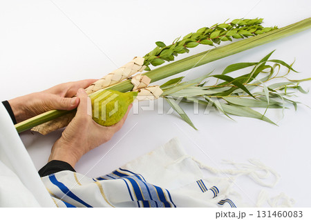 Jewish festival of Sukkot. Traditional symbols Etrog and Lulav in hands Jewish festival of Sukkot. Traditional symbols Etrog and Lulav in hands 131460083