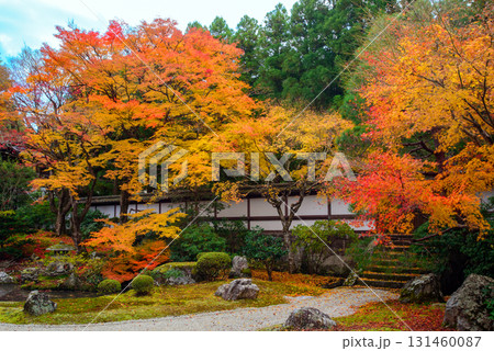 御寺　泉涌寺の御座所庭園の紅葉 131460087