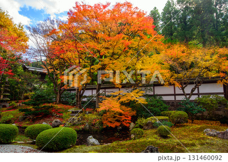 御寺 泉涌寺の御座所庭園の紅葉 御寺 泉涌寺の御座所庭園の紅葉 131460092
