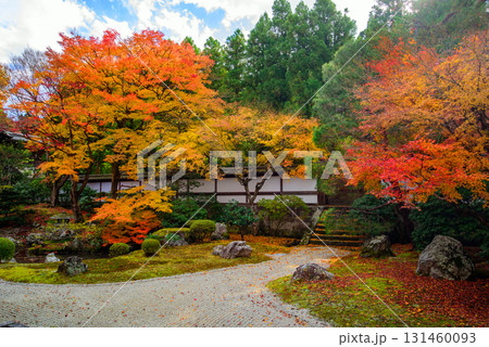 御寺　泉涌寺の御座所庭園の紅葉 131460093