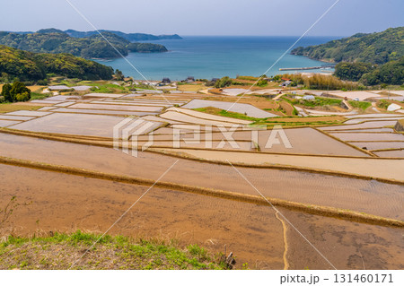 《佐賀県》駄竹の棚田・海をのぞむ田園風景 《佐賀県》駄竹の棚田・海をのぞむ田園風景 131460171