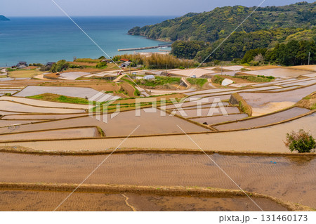《佐賀県》駄竹の棚田・海をのぞむ田園風景 《佐賀県》駄竹の棚田・海をのぞむ田園風景 131460173