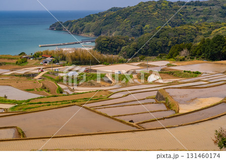 《佐賀県》駄竹の棚田・海をのぞむ田園風景 《佐賀県》駄竹の棚田・海をのぞむ田園風景 131460174