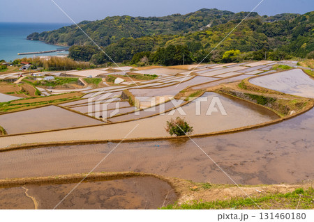 《佐賀県》駄竹の棚田・海をのぞむ田園風景 《佐賀県》駄竹の棚田・海をのぞむ田園風景 131460180