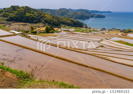 《佐賀県》駄竹の棚田・海をのぞむ田園風景 《佐賀県》駄竹の棚田・海をのぞむ田園風景 131460181