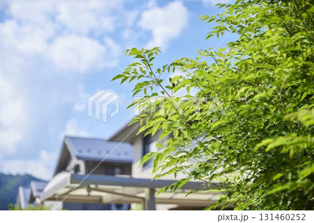 閑静な住宅街の街並み 131460252