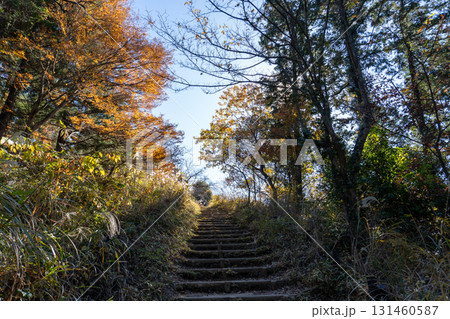 高尾山周辺 高尾山周辺 131460587