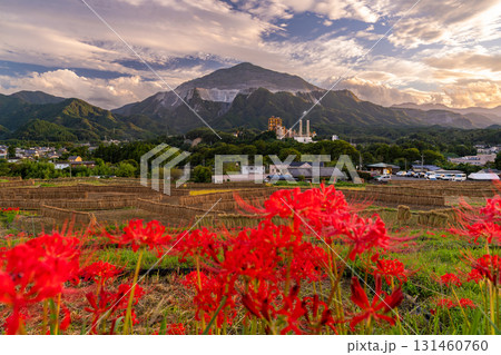 《埼玉県》秋の秩父・夕暮れの寺坂棚田 131460760