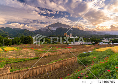 《埼玉県》秋の秩父・夕暮れの寺坂棚田 《埼玉県》秋の秩父・夕暮れの寺坂棚田 131460763