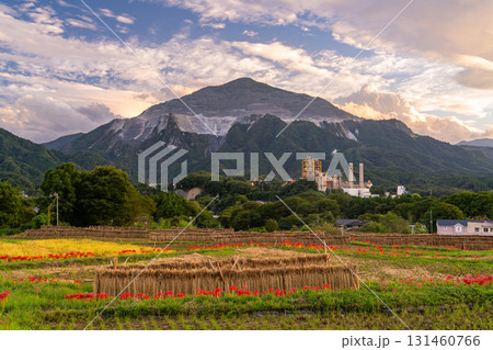 《埼玉県》秋の秩父・夕暮れの寺坂棚田 131460766