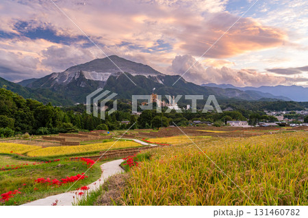 《埼玉県》秋の秩父・夕暮れの寺坂棚田 131460782