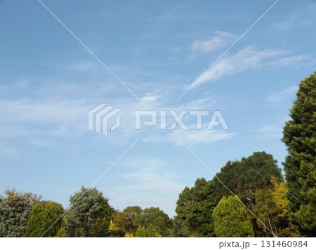稲毛海浜公園での青空と白い雲 131460984