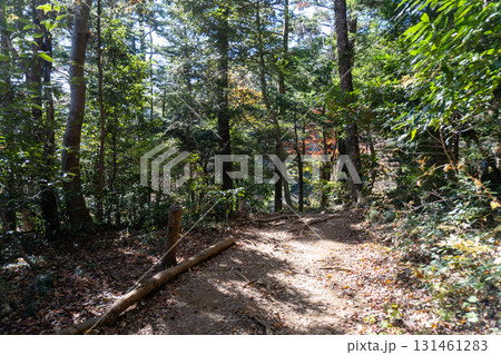 高尾山周辺 131461283
