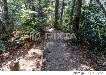 高尾山周辺 高尾山周辺 131461284