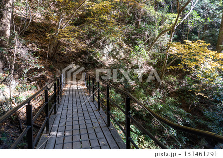 高尾山周辺 高尾山周辺 131461291