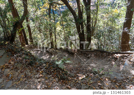 高尾山周辺 131461303