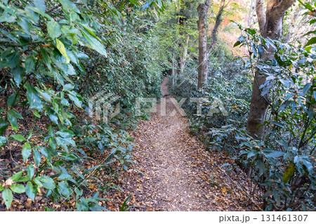 高尾山周辺 131461307