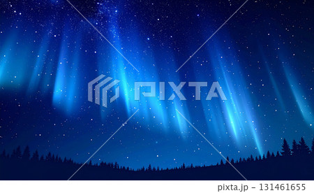 森と星空に広がるブルーオーロラ 131461655