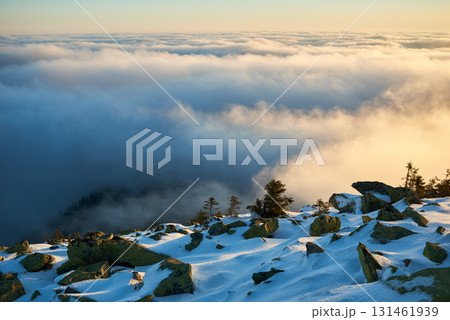Snow-covered mountain slope at dawn, with scattered rocks and small trees adding texture to foreground. Sea of clouds below bathed in soft hues of blue and gold as sunlight gently illuminates scene. Snow-covered mountain slope at dawn, with scattered rocks and small trees adding texture to foreground. Sea of clouds below bathed in soft hues of blue and gold as sunlight gently illuminates scene. 131461939