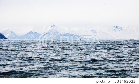 panoramic view of shore of Pacific ocean in Avacha 131462023