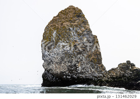 rocks of Ostrov Starichkov in Avacha bay rocks of Ostrov Starichkov in Avacha bay 131462029