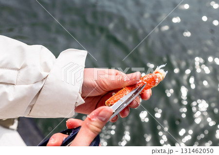 tourist cuts leg of caught crab with scissors tourist cuts leg of caught crab with scissors 131462050