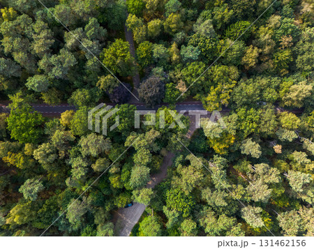 Aerial view of forest bisected by asphalt road with dashed lines; blue car parked near paved rest area showcasing contrast between dense greenery and infrastructure. Aerial view of forest bisected by asphalt road with dashed lines; blue car parked near paved rest area showcasing contrast between dense greenery and infrastructure. 131462156