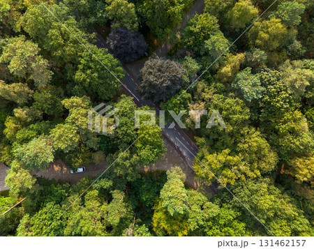 Aerial view of winding asphalt road through dense forest with varied green foliage; white car parked roadside showcasing natural texture and infrastructure integration. Aerial view of winding asphalt road through dense forest with varied green foliage; white car parked roadside showcasing natural texture and infrastructure integration. 131462157